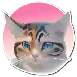 neuro_catss