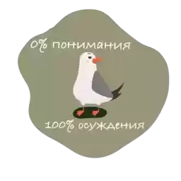 newsvitebsk