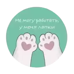 newsvitebsk