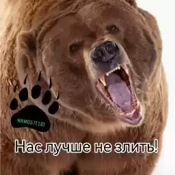 nnm05716