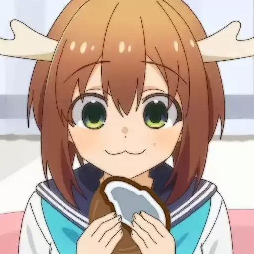 nokoshi