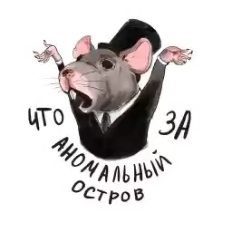 office_rat