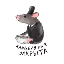 office_rat
