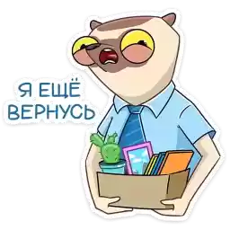 officesifaka_vk