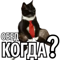 ofisbudny_by_fStikBot