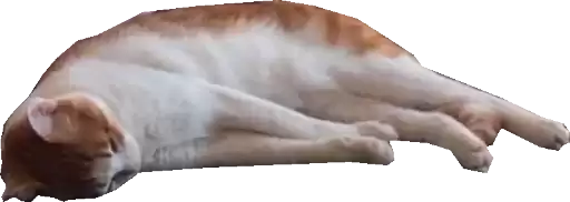opgdobro