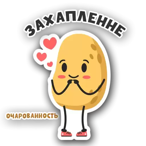 pachucci