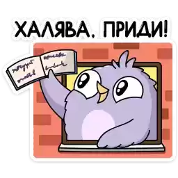 pavel_vk