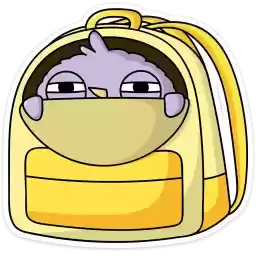 pavel_vk