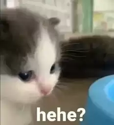 petplay