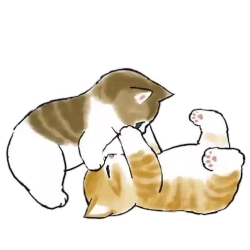 pichicatsxsv