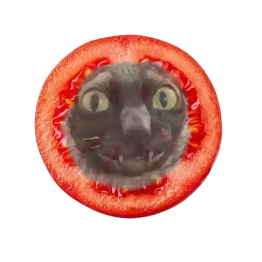 pixelpixelgif