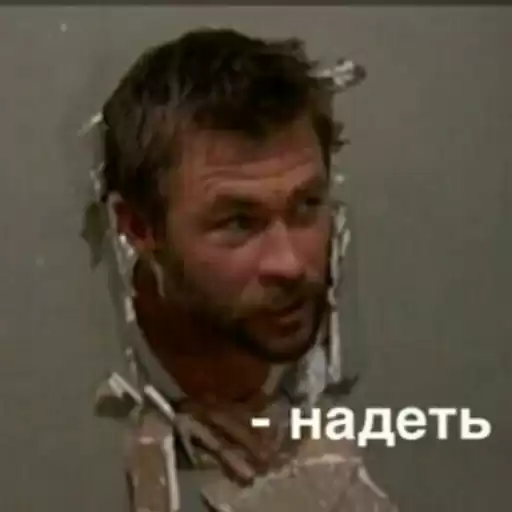 pizdosya2