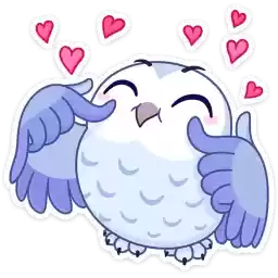 plusha_vk