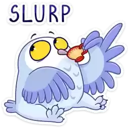 plusha_vk