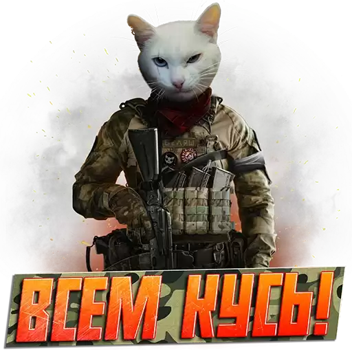 pmcMeowGroup