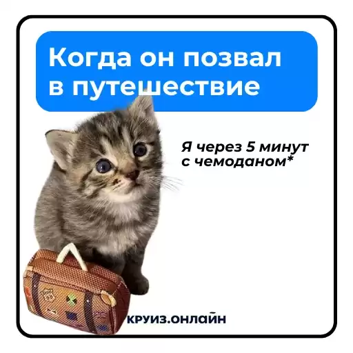 poravkruiz