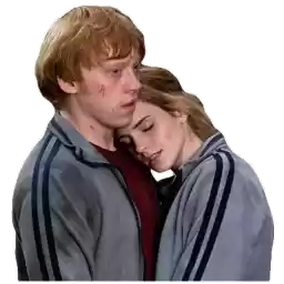 potter_telegram