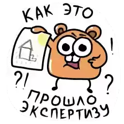projectoram