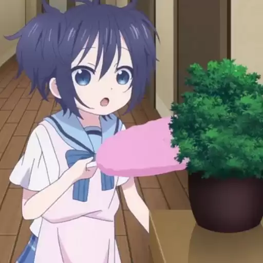 propalashio