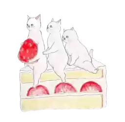puciyiesssies