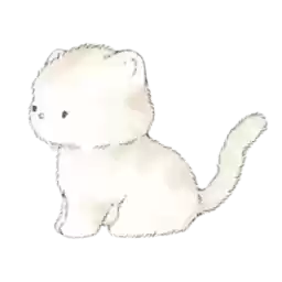 puciyiesssies