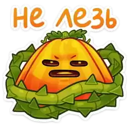 pumpi_vk
