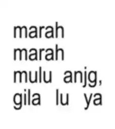 punyaraisa1
