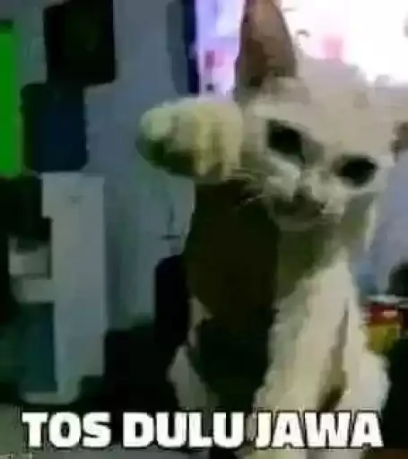 punyaraisa1