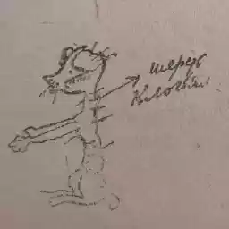 puppy_komsorg