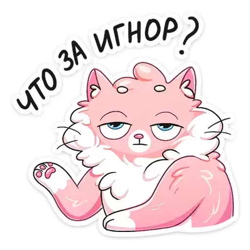 purrfect_pair_vk