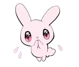 rabbitsandgirlspink