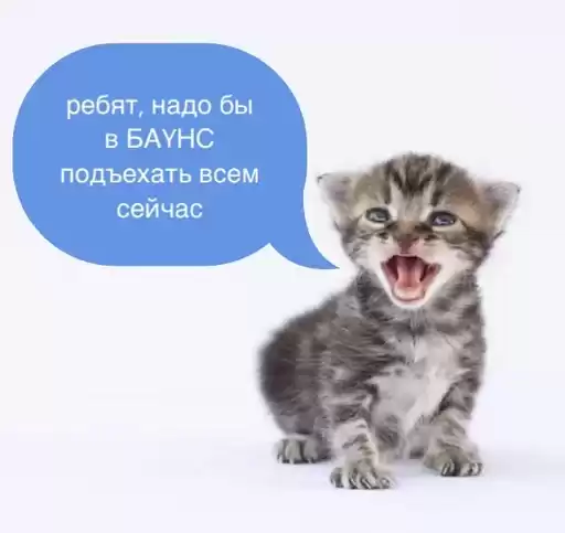 radugadiscochyat