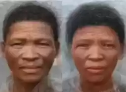 rasologiya