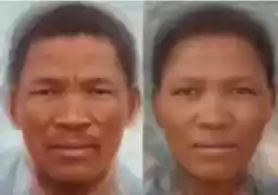 rasologiya