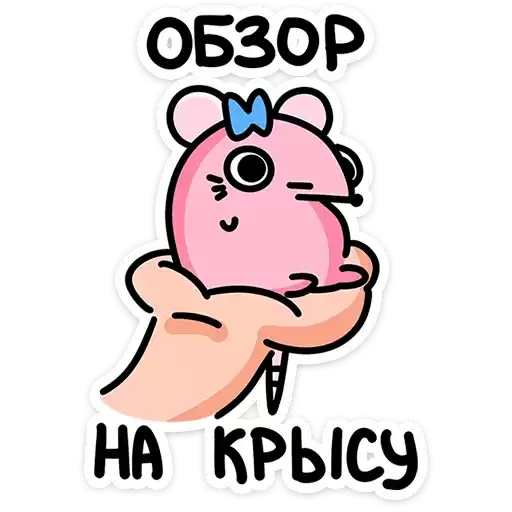 rat_kristina_vk