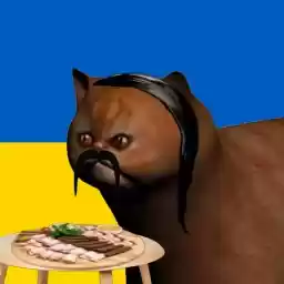 reallyweirdcat