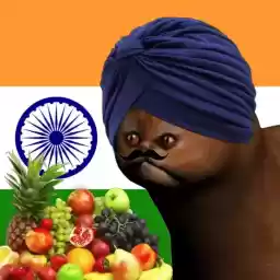 reallyweirdcat