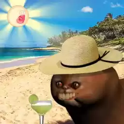 reallyweirdcat