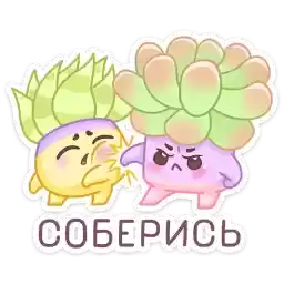 roseflowbrew