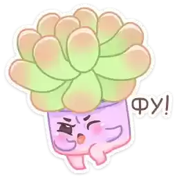roseflowbrew