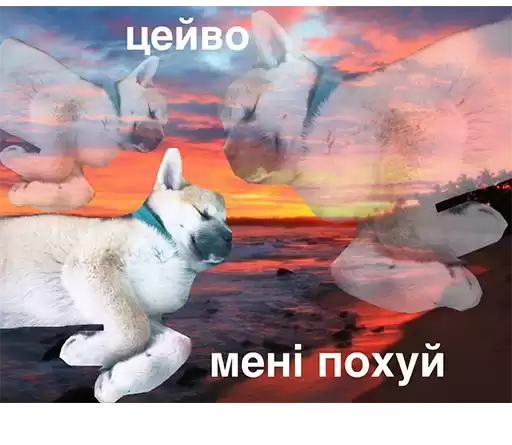 russophobia1