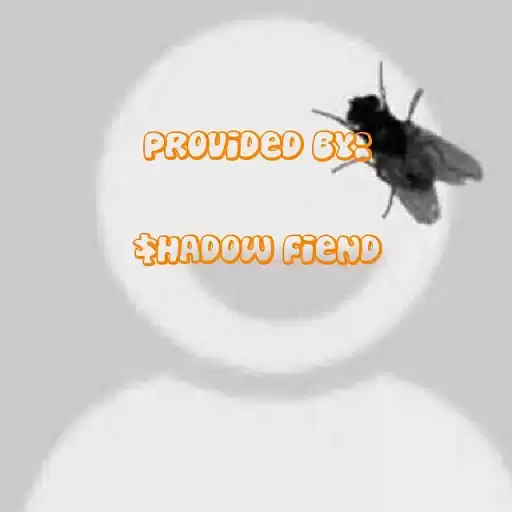 shadow