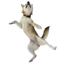 shiben