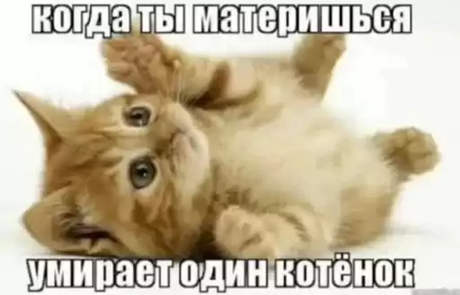 shlrona