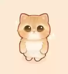 shnpip