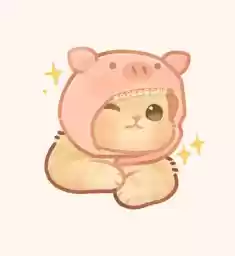 shnpip