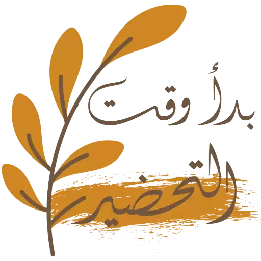 shoshAli3