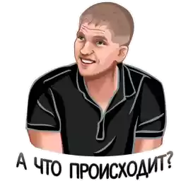 shtobilo
