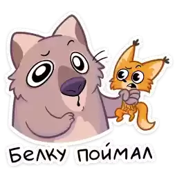 shuga_vk